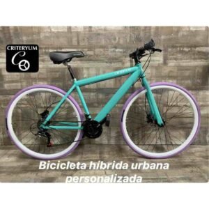 Bicicleta Hibrida Criteryum Urbana Personalizada BCH01