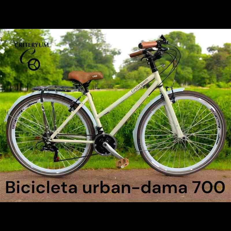Bicicleta Criteryum Urban BCP01