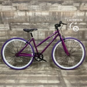 bicicleta dama clasica single speed CDS03